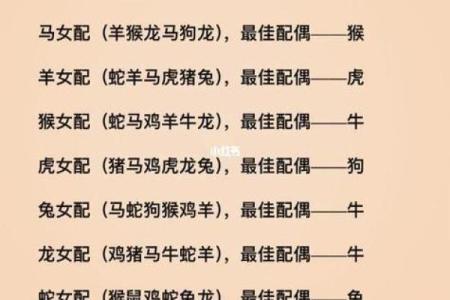 虎龙生肖缘：揭秘生肖配对中的神秘力量