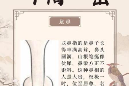 揭秘面相鼻孔的奥秘：财运、健康尽在掌握