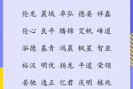 从创意到文化，最佳公司起名指南