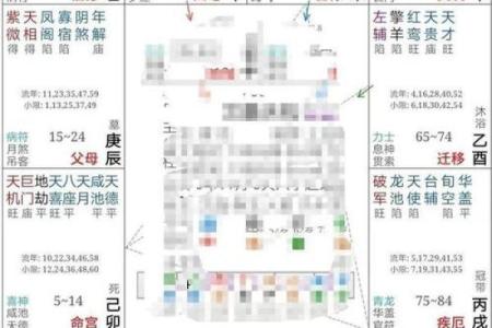深入解读紫微排盘事业宫：助你实现职业梦想的命理秘籍