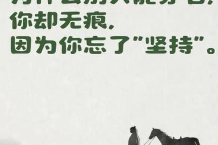 掌握命理运势，在线大师为你定制专属人生指南