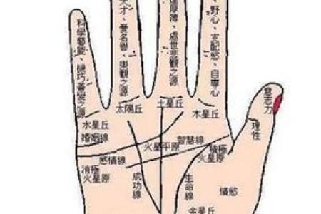 手相揭秘：副生命线预示着怎样的命运？