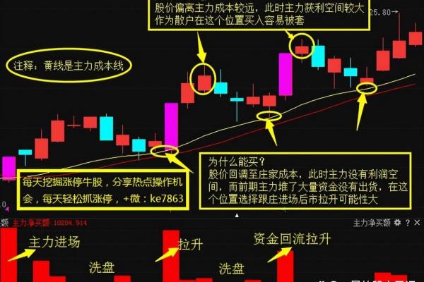 股票命理分析：解密股市中的五行玄机