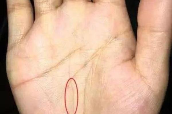 揭秘手相奥秘：木星丘竖纹预示哪些命运转折？