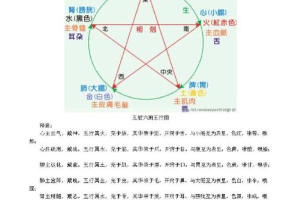 小五行与命理：如何通过五行调整生活运势