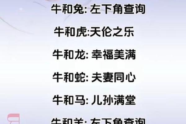 鼠鼠配对，缘分天注定