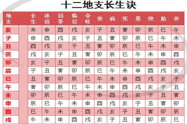 八字命理中的胎运密码：你了解多少？