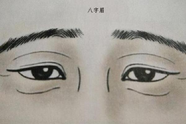 八字眉男生有哪些职场优势，值得一试