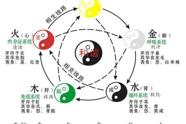炎五行的真实属性，了解它的根源