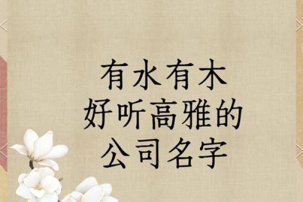 提升品牌价值的竹木公司命名方法