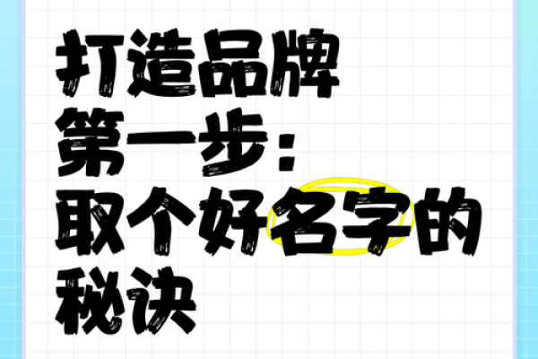 打造成功教育品牌的三字名字