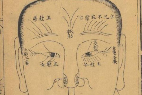 痣的吉凶之分，麻衣相术揭示命运走向