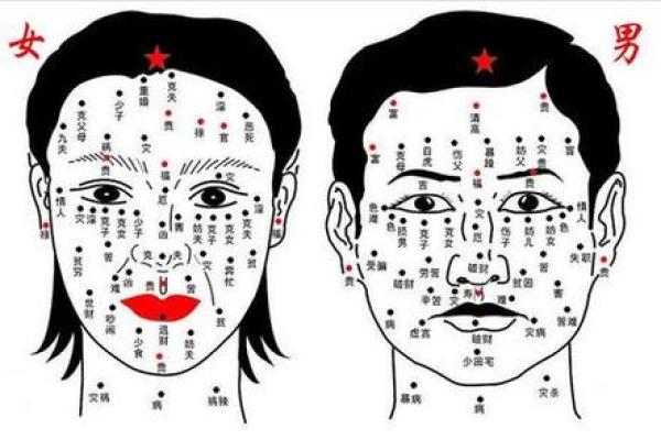 女性痣相宝典：揭示痣相中的财运、健康与魅力