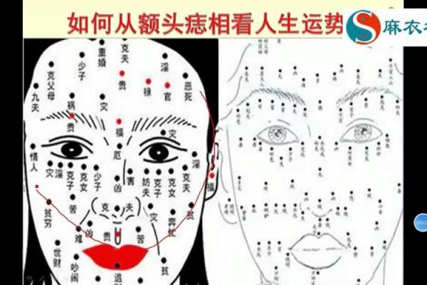 女性痣相宝典：揭示痣相中的财运、健康与魅力