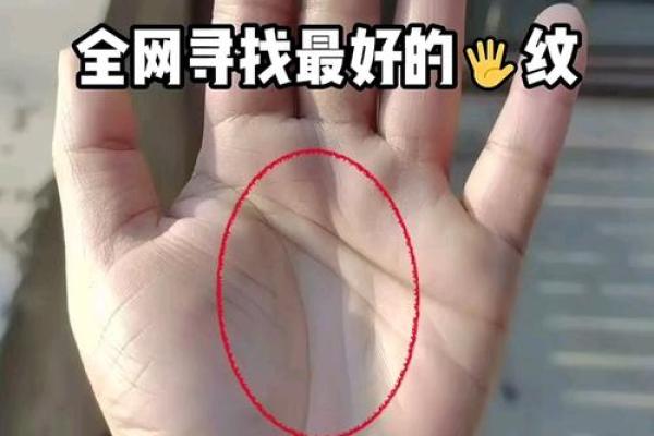 揭秘川子纹手相女性的神秘魅力，你不可不知的秘密