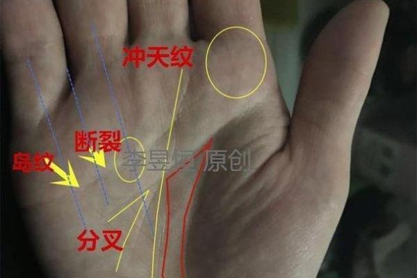 揭秘川子纹手相女性的神秘魅力，你不可不知的秘密