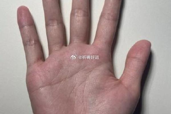 手相揭秘：一招看透你命中有几个孩子，揭秘你的生育运势