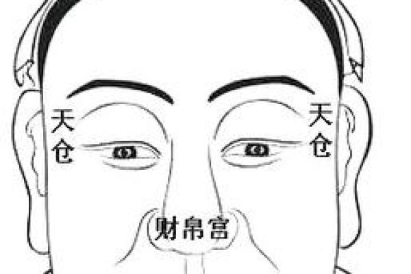 面相揭秘：一眼看穿命运，免费解锁财运、事业、婚姻大秘密