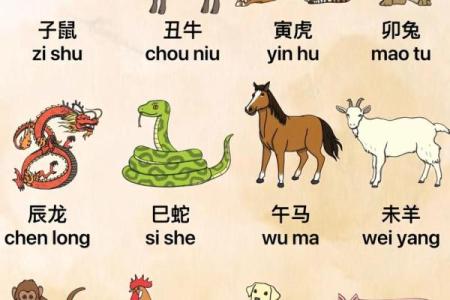 十二生肖齐狂欢，爆款标题等你来