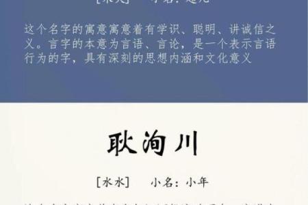 起名网王：打造最适合你的个性化名字