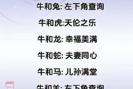 鼠鼠配对，缘分天注定