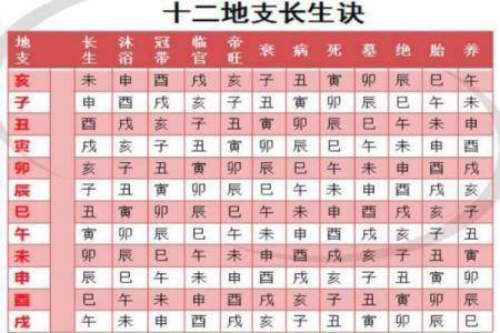 八字命理中的胎运密码：你了解多少？