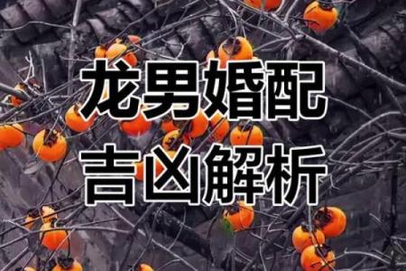 属龙男娶属猴女，姻缘匹配大揭秘