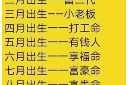 食禄之命揭秘：揭秘那些注定享福一生的幸运儿
