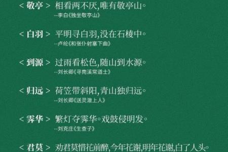 起名什么东：让名字为你的人生加分