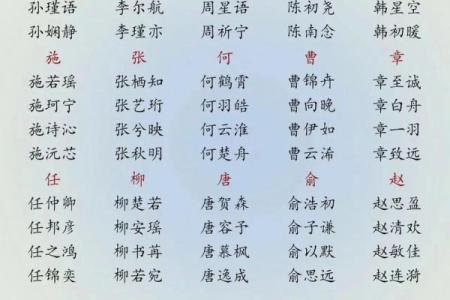 利用宗字起名，让名字更具文化底蕴