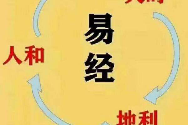露雳火命，揭秘你的一生运势与财富必看