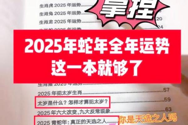 露雳火命，揭秘你的一生运势与财富必看