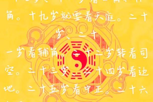 易龙门命理粹言：掌握五行之道，逆转人生运势