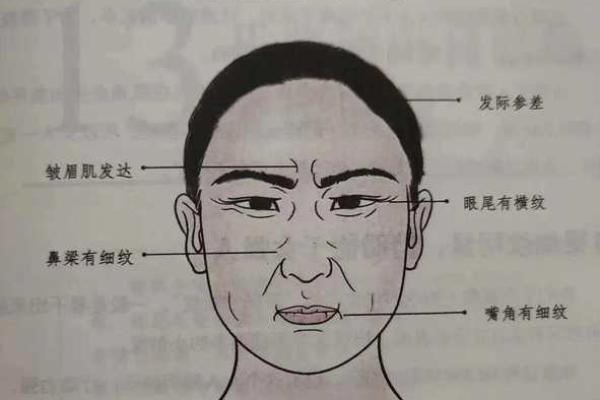 女性面相解码：揭秘那些藏不住的志向与魅力