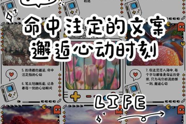 免费属相配对，邂逅你的命中注定