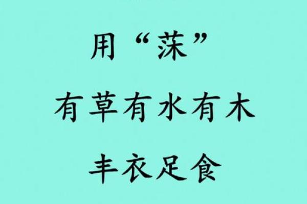 如何通过沫起名为孩子选择完美名字？