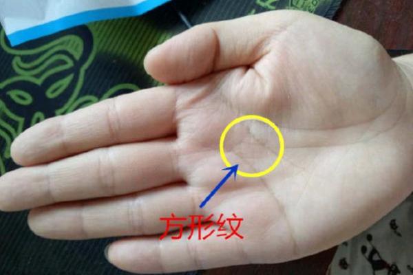 揭秘手相奥秘：十指艺纹，掌握命运之谜