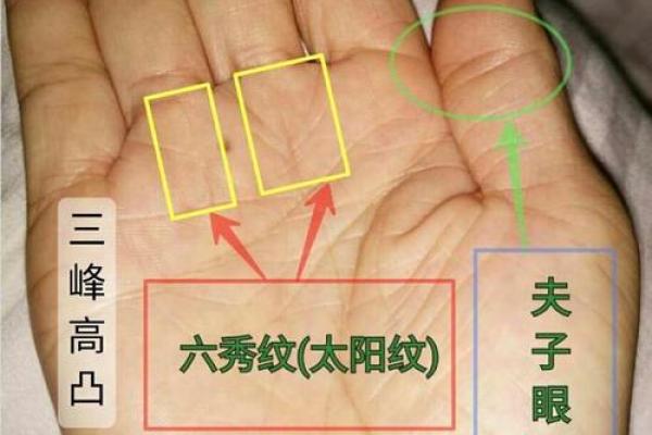 揭秘富贵手相：掌握财运密码，轻松成为人生赢家