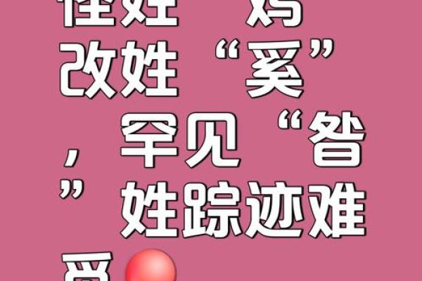 鸡店命名必备指南，教你起个能让顾客驻足的名字