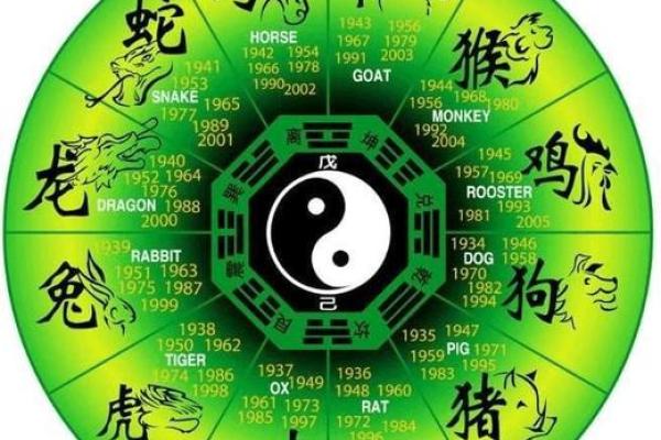四柱排盘解读：生肖与命运的神秘联系