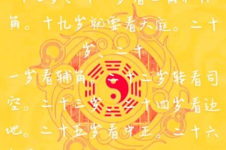易龙门命理粹言：掌握五行之道，逆转人生运势