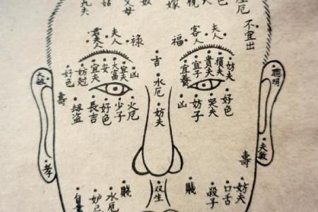 女性面相解码：揭秘那些藏不住的志向与魅力