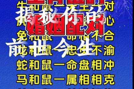 老虎老鼠配对：揭秘神秘组合的惊人魅力