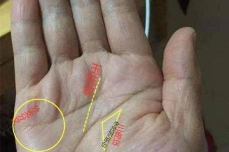 手纹揭秘：这是劳碌命的标志