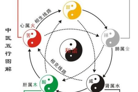 文字五行属什么？专家告诉你答案