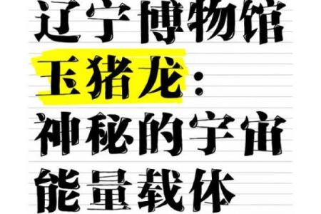 猪龙佳话：揭秘它们背后的神秘缘分