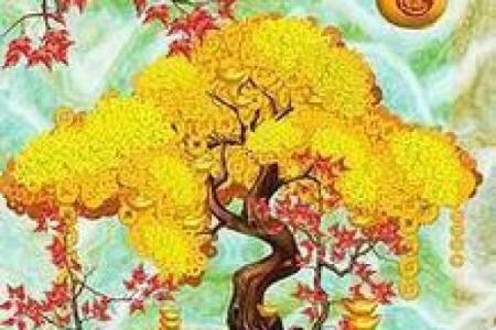 招财大师揭秘：12招绝密风水秘籍，轻松转运聚财