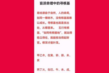 气与根：命理学中最不可忽视的关键因素