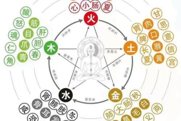秋季五行：如何调和五行达到最佳状态