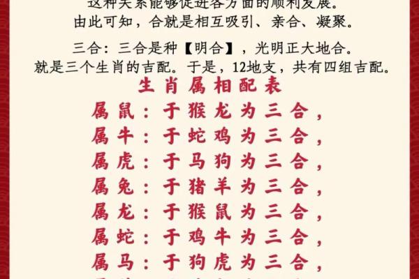 龙兔缘：88龙与87兔的 compatibility 解码